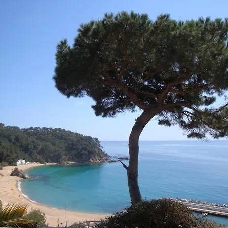 Ocean Vil·la Lloret de Mar