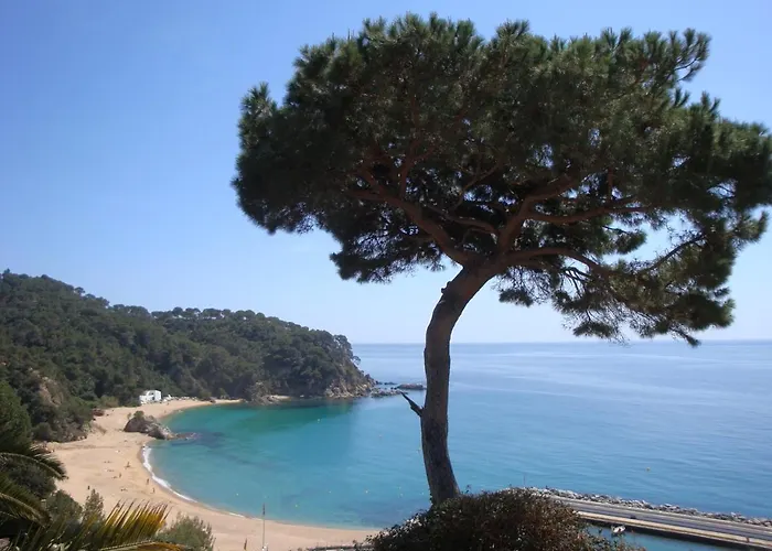 Lily וילה יורט דה מאר